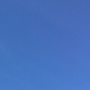 Meet your Posher, Skylar